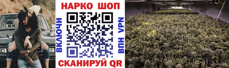 Псилоцибиновые грибы Онега