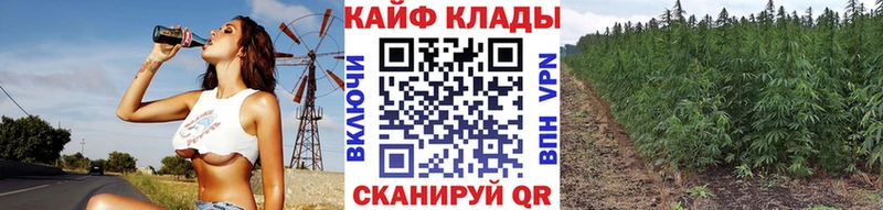 Купить Амфетамин  Мефедрон  Псилоцибиновые грибы  КОКАИН  APVP  Бошки Шишки  Онега