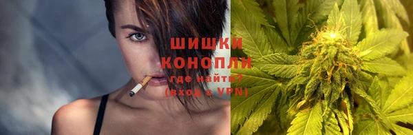 мдпв Инта