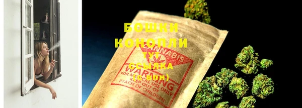 мдпв Инта