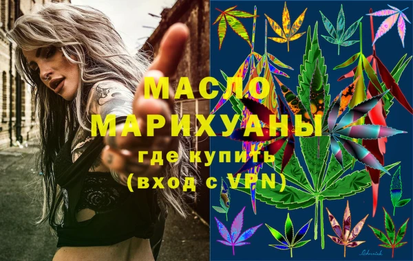 мдпв Инта