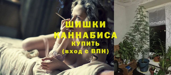 мдпв Инта