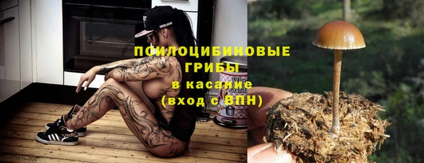 мдпв Инта