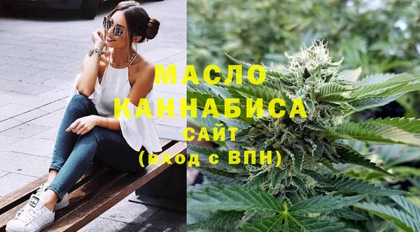 мдпв Инта
